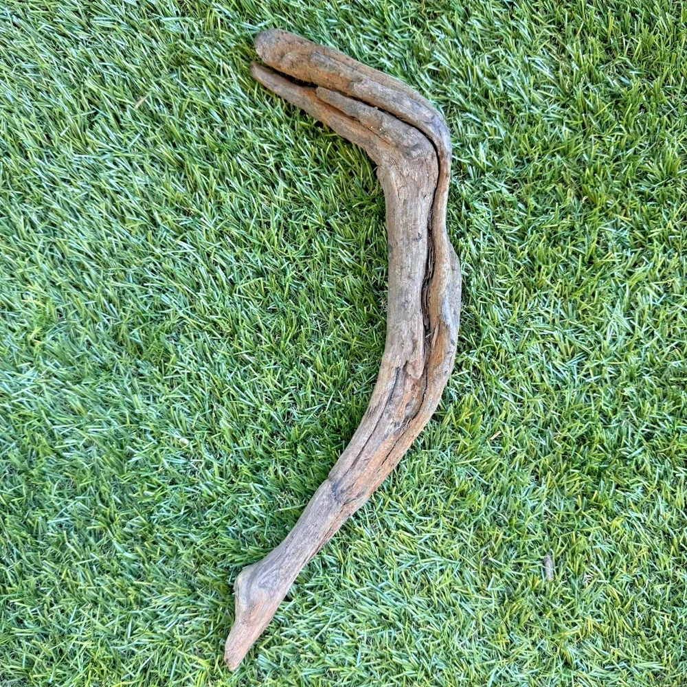 2 Natural Driftwood Branches California Coast Rustic Decor Aquarium Terrarium